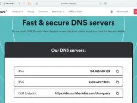 نحوه استفاده از DNS سرویس Surfshark در مک، آیفون و آیپد