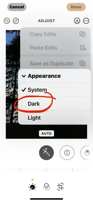 Dark 