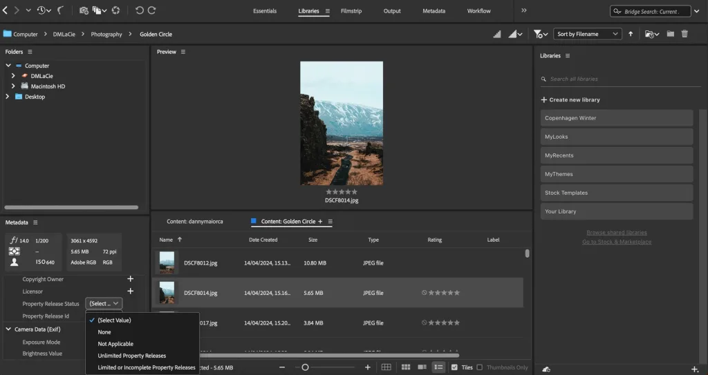 Adobe Bridge
